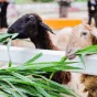搜索 - 熊猫体育hangshengbao
